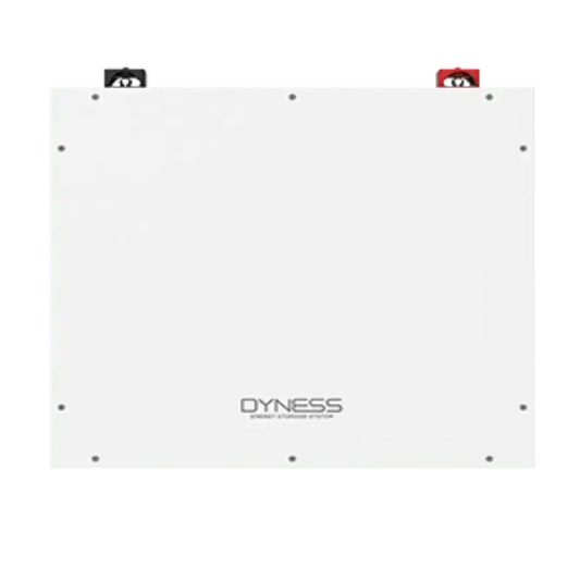 Dyness Lithiumion Battery DL 5.0C - 100Ah with Wi - Fi - The Saver Hub